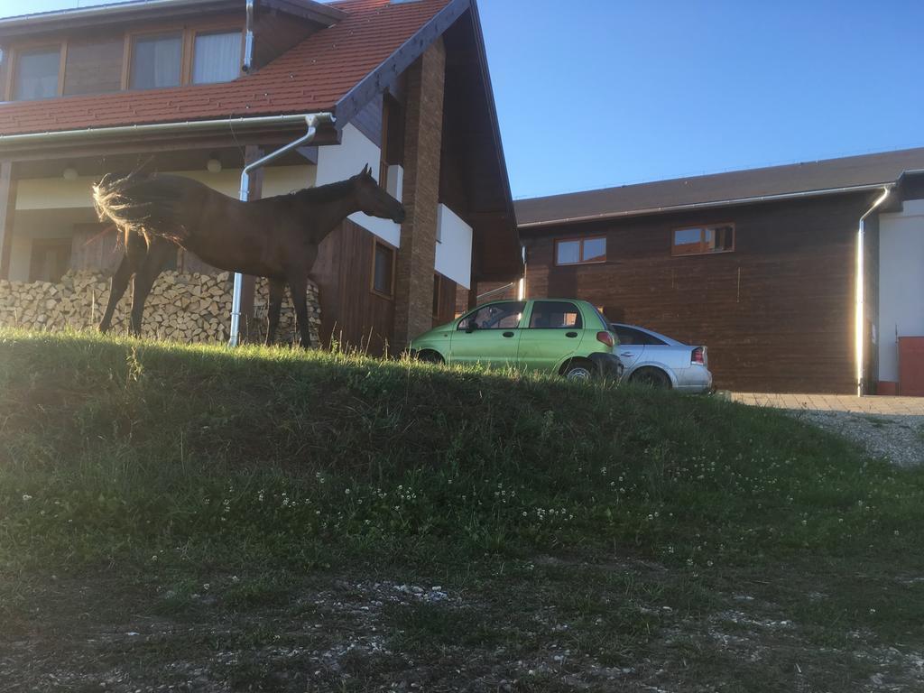 Kavalliera Pensiune Cotormani Eksteriør bilde